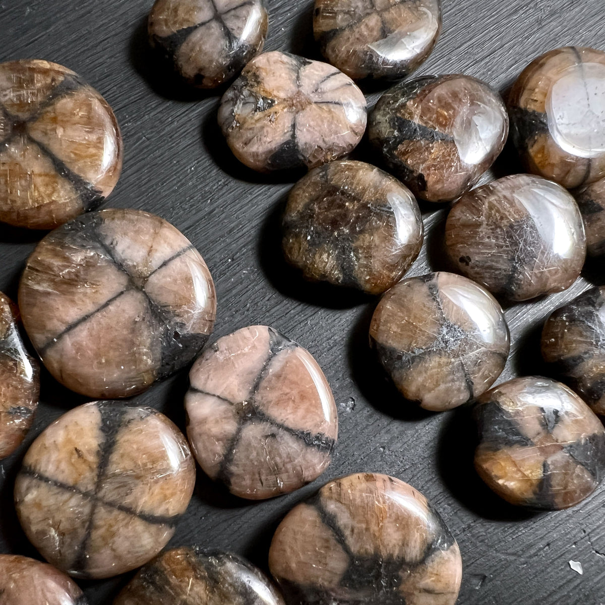 Chiastolith Stein für Wurzelchakra und energetische Balance
| Happy Minerals