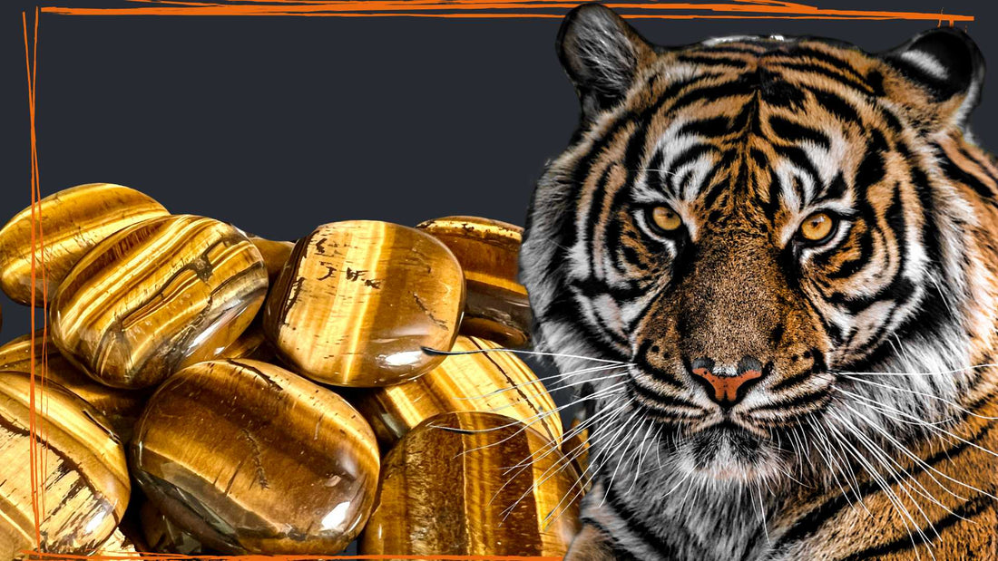 Tigerauge Bedeutung und Wirkung – Schutz und Stärke | Happy Minerals