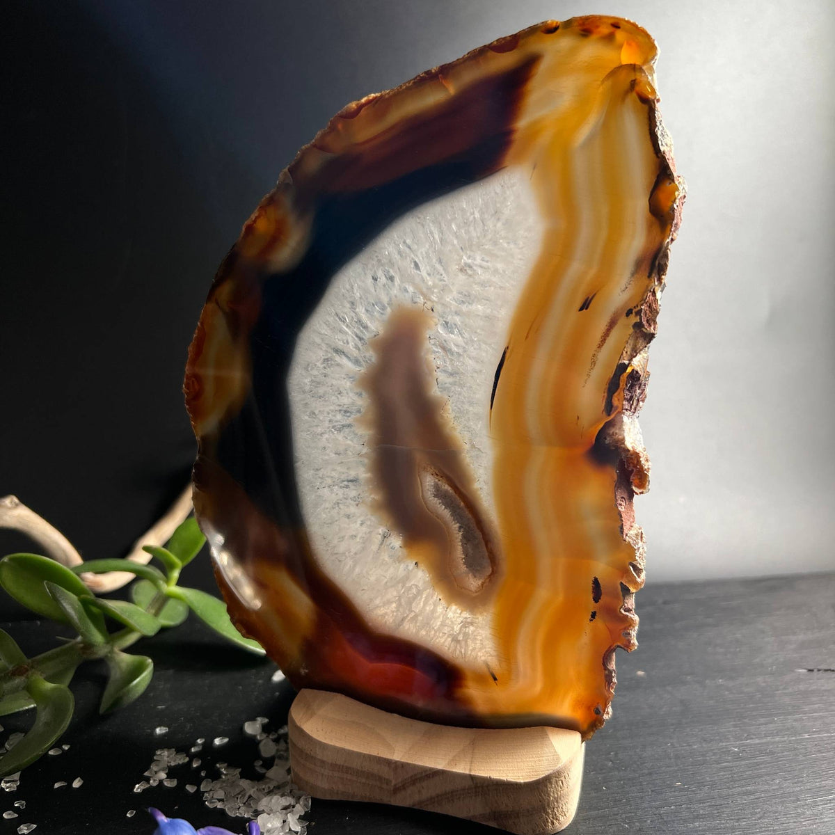 Achatscheibe mit Hintergrundlicht, mit federartigen Quarzkristallen und tiefem Bernstein | Happy Minerals