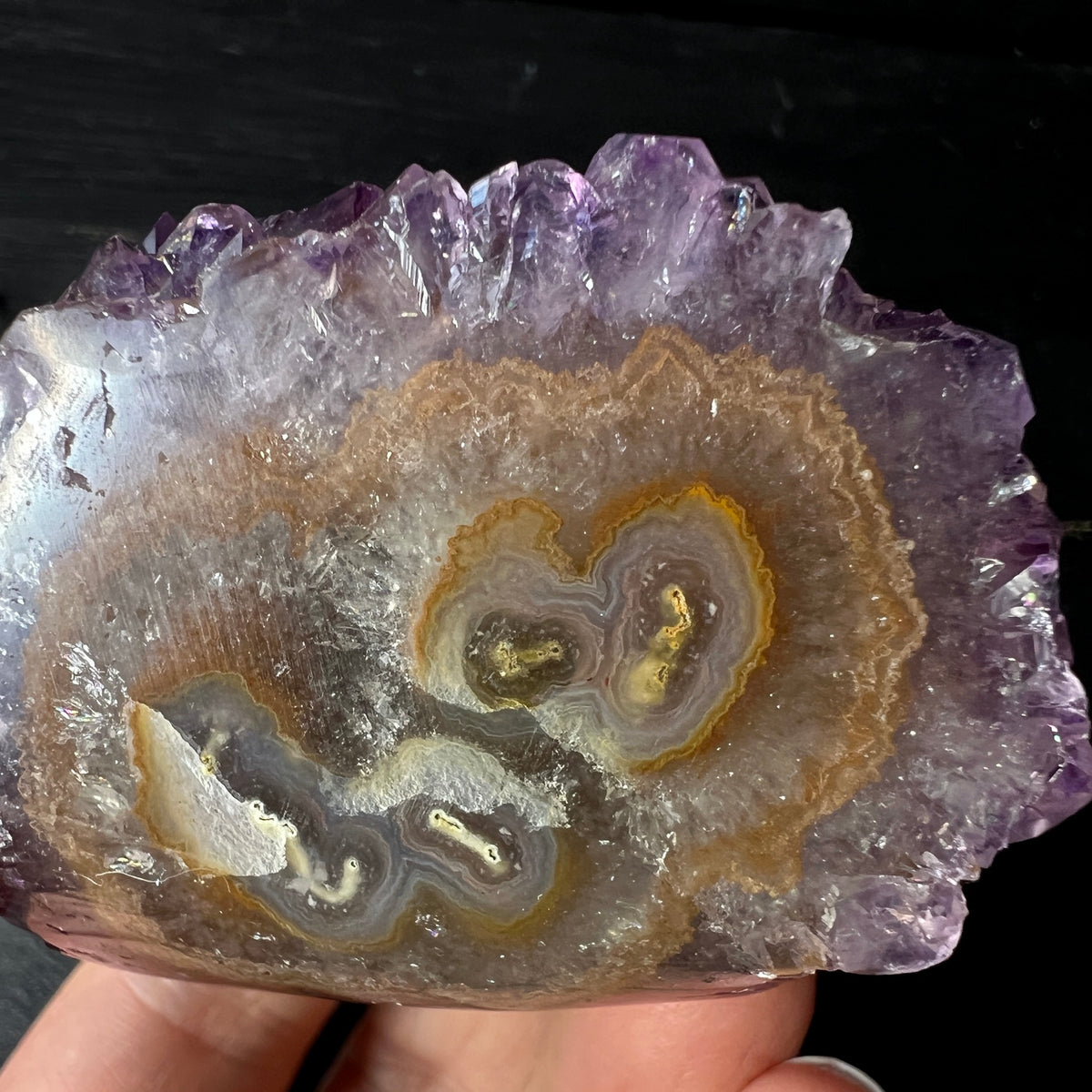 Amethyst Stalaktit Igel aus Uruguay, eine Fläche poliert ca. 70mm