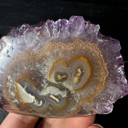 Amethyst Stalaktit Igel aus Uruguay, eine Fläche poliert ca. 70mm