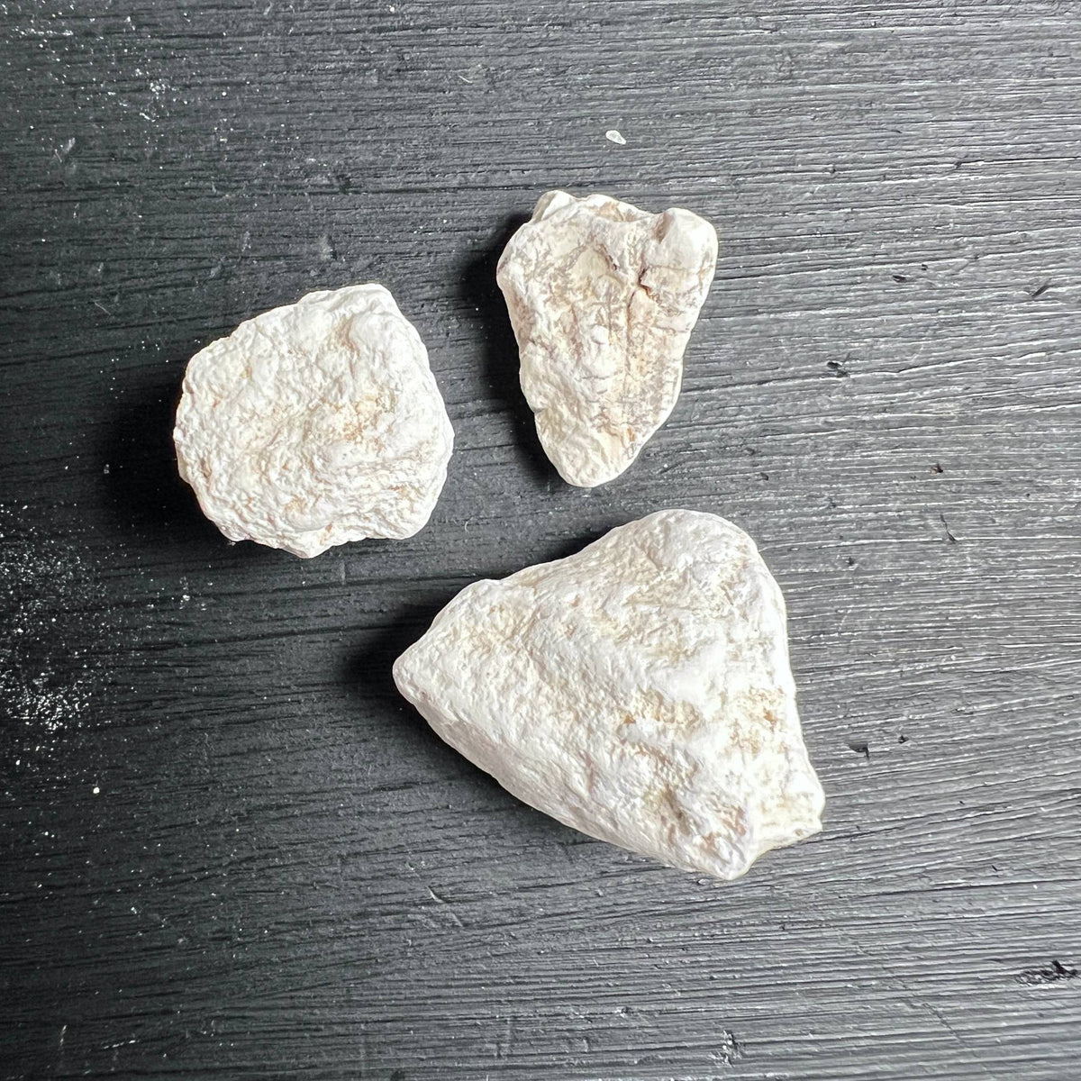 Howlith roh 3er Set Detailaufnahme | braune Adern cremeweiß Schlafstein | Happy Minerals