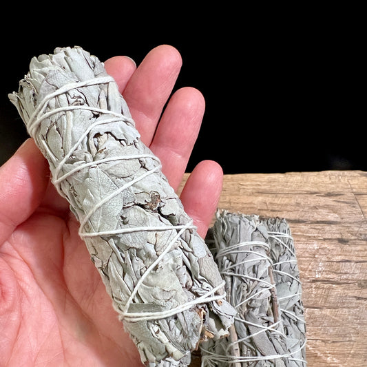 Weißer Salbei Bündel in der Hand | White Sage | Happy Minerals