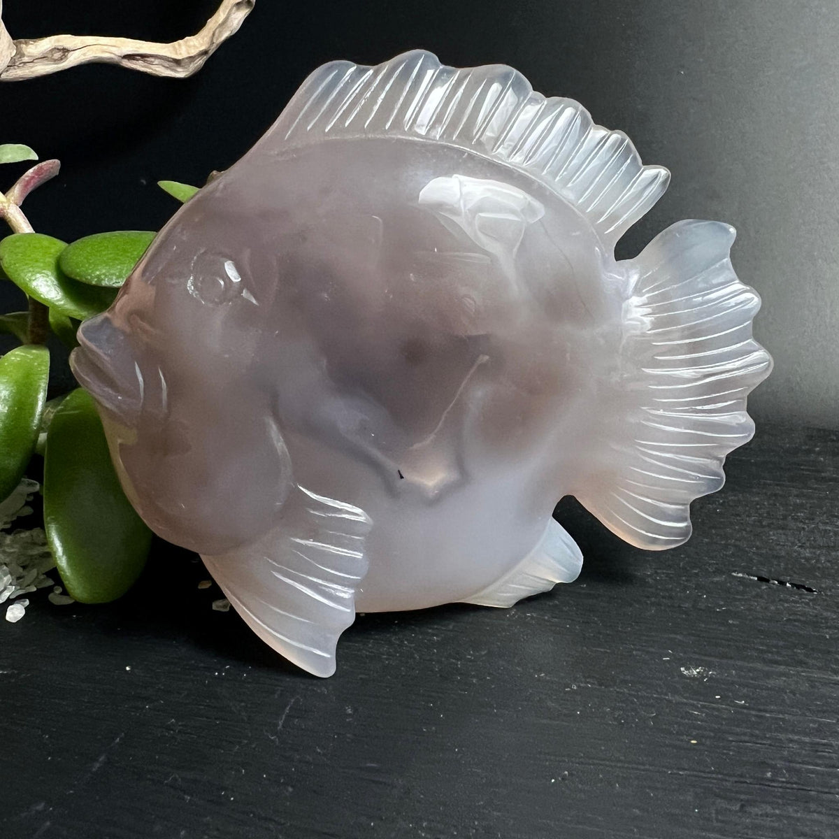 Achat Fisch mit silberner Druzy Geode und schwarzen Einschluessen
