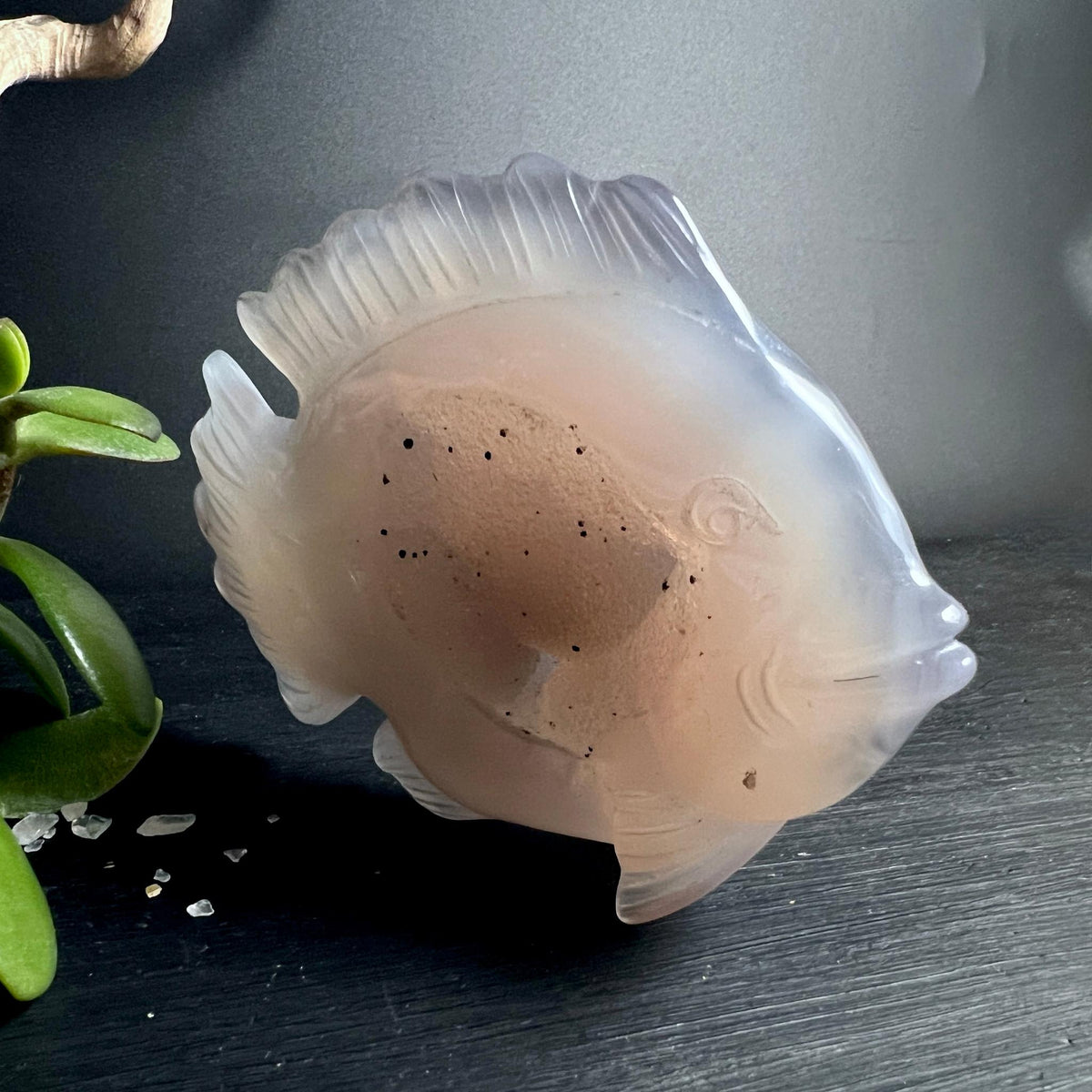 Handgeschnitzter Achat Fisch Seitenansicht mit Hintergrundlicht