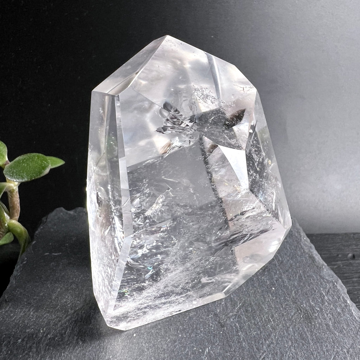 Bergkristall Polygon | facettiert | kristallklar | aufrecht | innere Welten | Brasilien | Happy Minerals