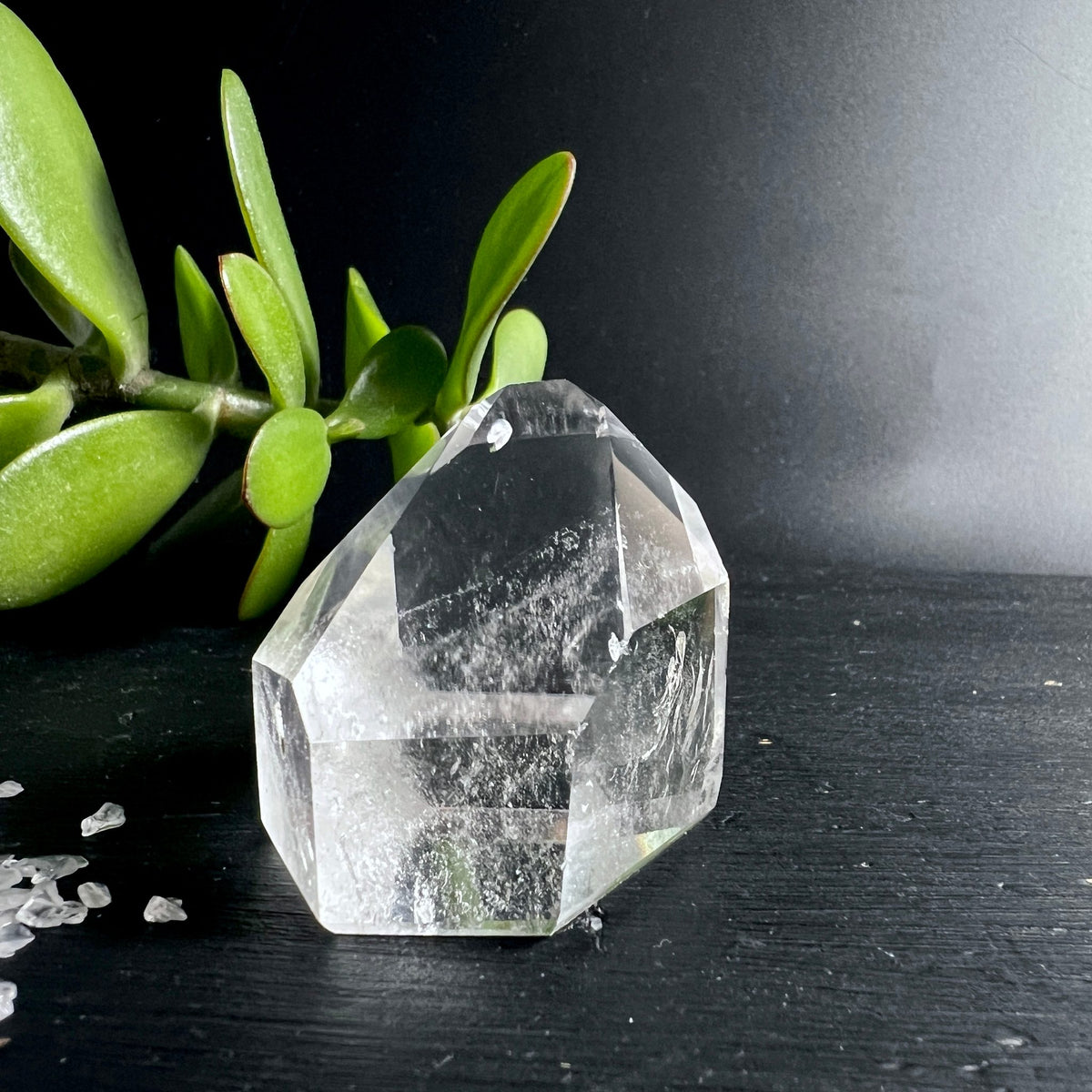Klarer Bergkristall | polierte Spitze | Brasilien | Sukkulente | dunkler Hintergrund | Happy Minerals