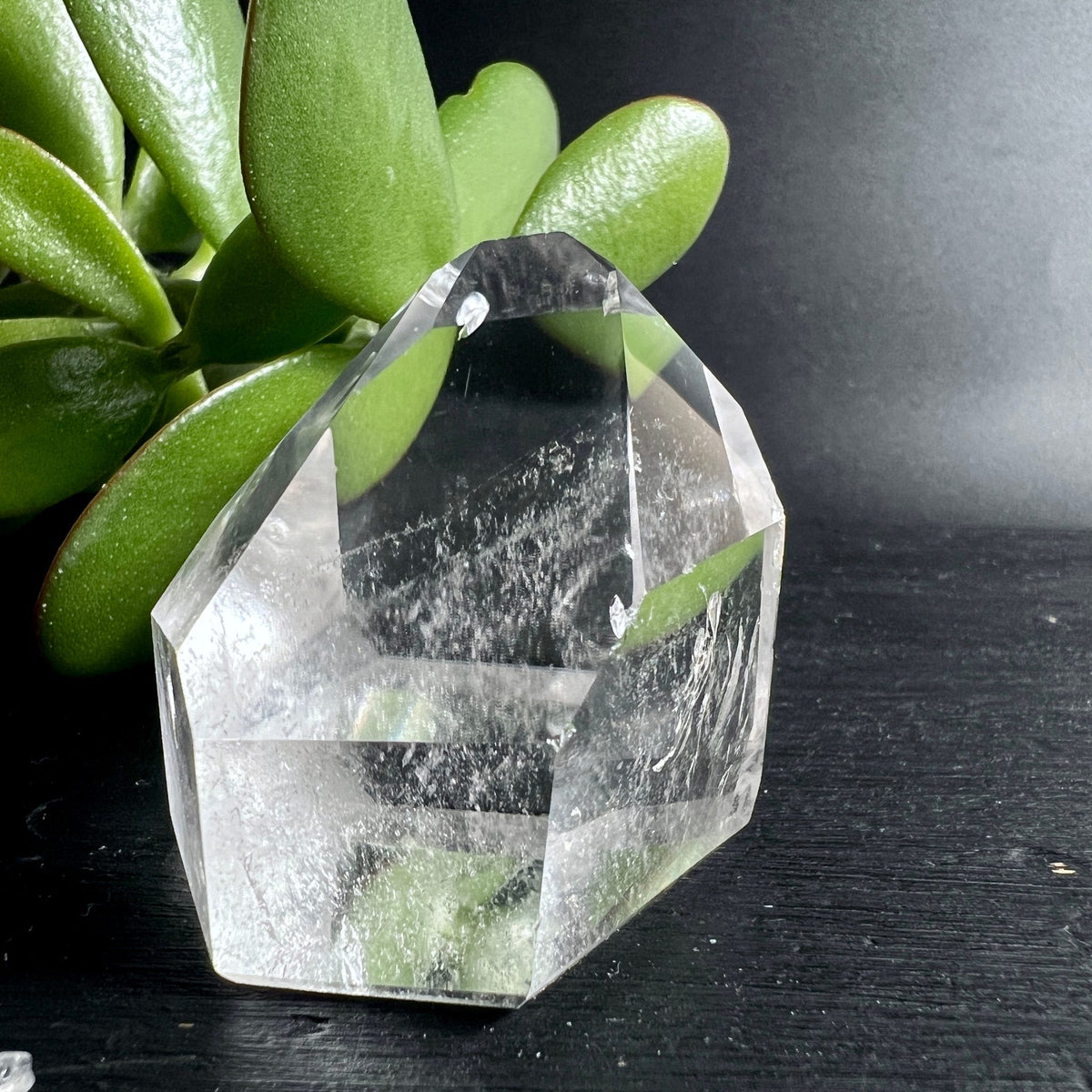 Bergkristall mit Sukkulente | atmosphärisches Licht | polierte Spitze | natürliche Dekoration | Happy Minerals