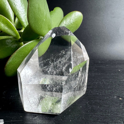 Bergkristall mit Sukkulente | atmosphärisches Licht | polierte Spitze | natürliche Dekoration | Happy Minerals
