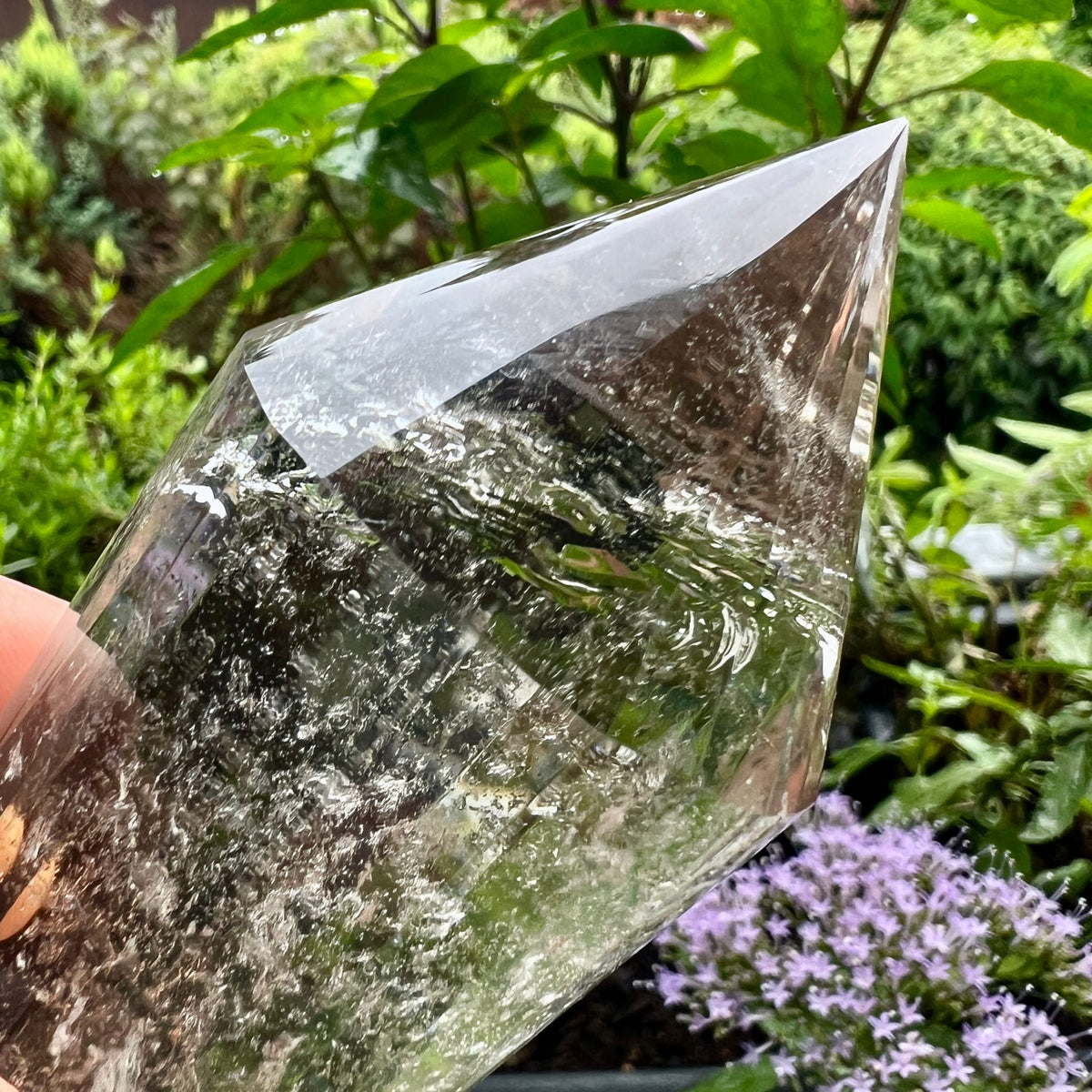 Bergkristall Vogelcut | Spitze Nahaufnahme | Garten | glasklare Facetten | Happy Minerals
