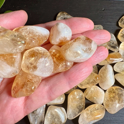 Citrin Trommelstein in Hand Größenvergleich 20-30mm 40mm | Handschmeichler Solarplexus | Happy Minerals