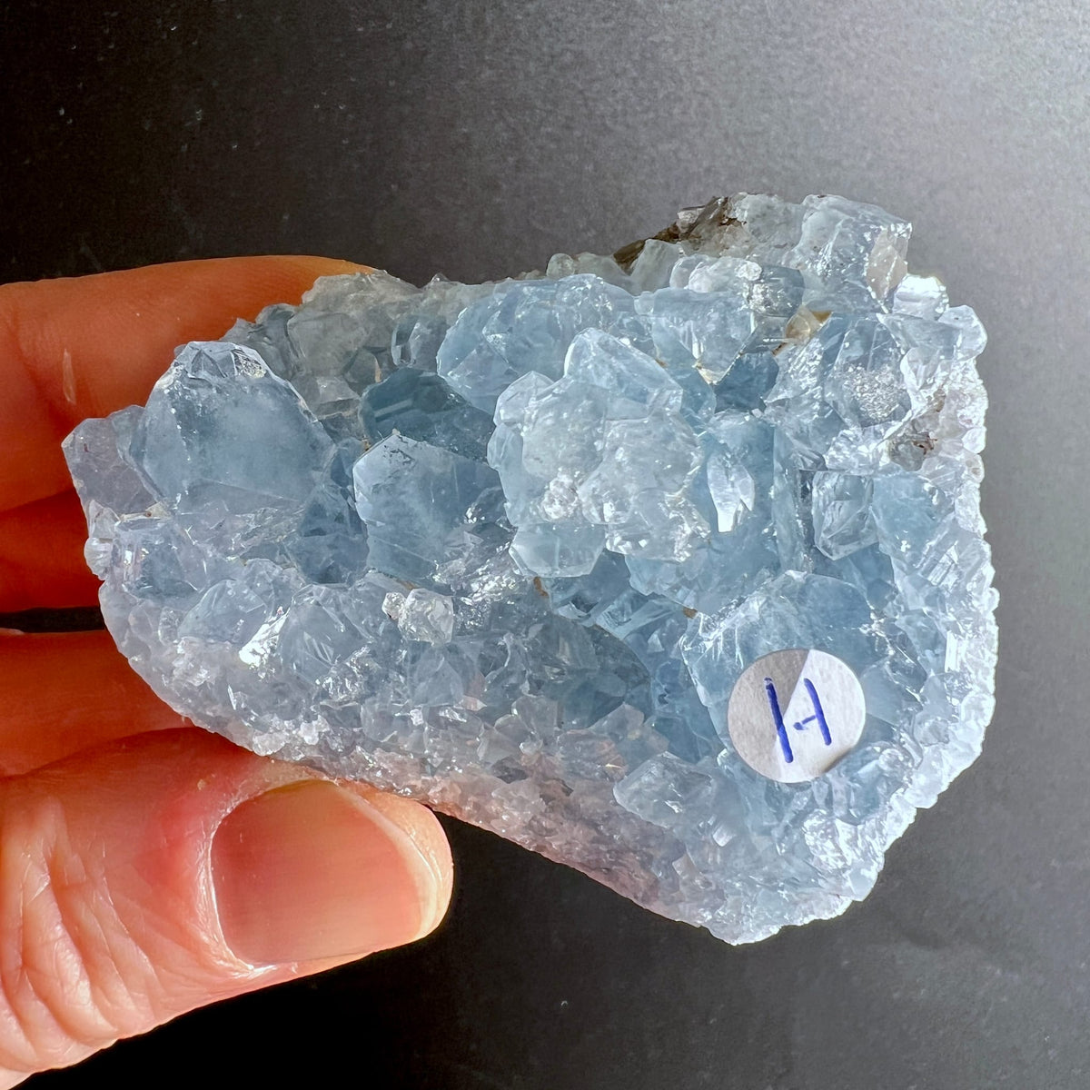 Coelestin Rohstein | Variante H | himmelblaue Druse | klare Kristallspitzen | Madagaskar | Happy Minerals