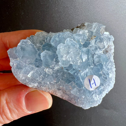 Coelestin Rohstein | Variante H | himmelblaue Druse | klare Kristallspitzen | Madagaskar | Happy Minerals