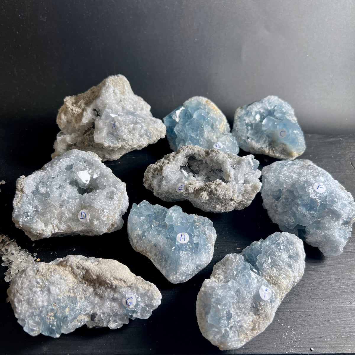 Coelestin | Rohstein-Set | Madagaskar | 9 Variantensteine | blaue & weiße Kristalle | Happy Minerals
