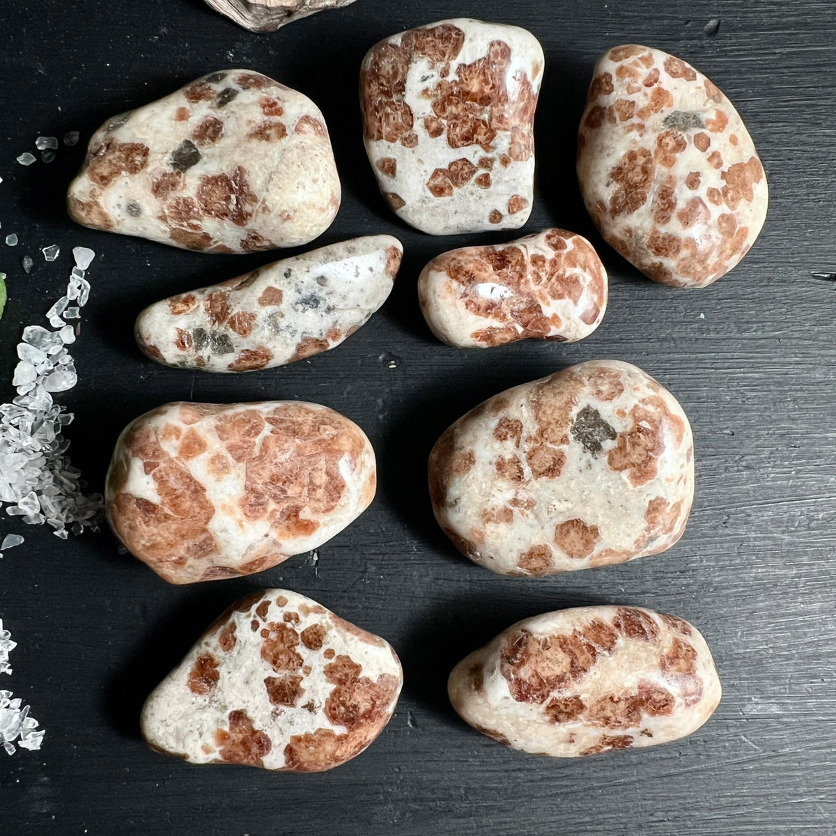 Neun Hessonit Granat Palmsteine in Wollastonit aus Namibia auf dunklem Untergrund