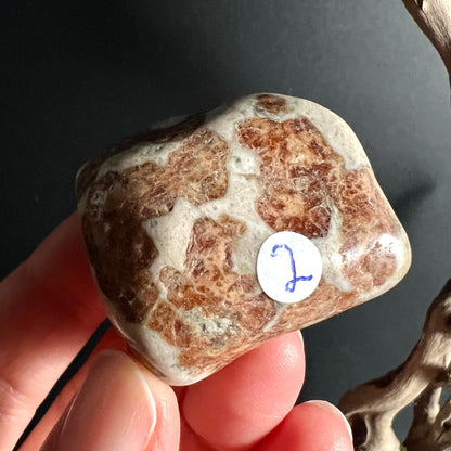 Hessonit Palmstein Nr 2 zeigt kontrastreiche Granat Musterung