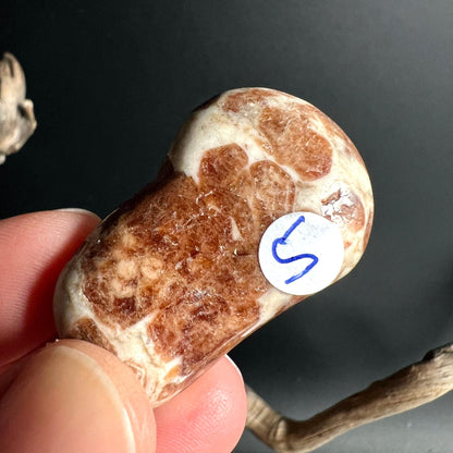 Intensiv orangefarbener Hessonit Palmstein Nr 5 kompakte Groesse