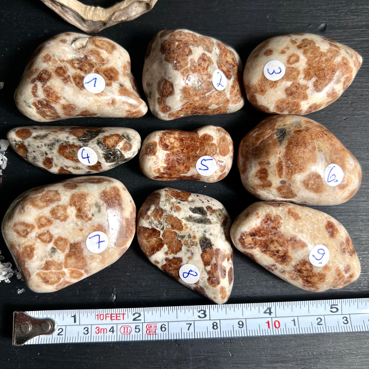 Alle Hessonit Palmsteine mit Lineal zeigt Groesse 4 bis 5 cm