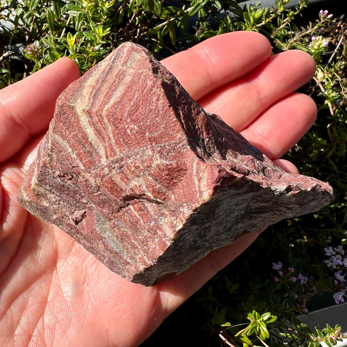 Bänderjaspis Rohstein rot-braun gestreift in Hand gehalten 9cm Erdung Stabilität | Happy Minerals