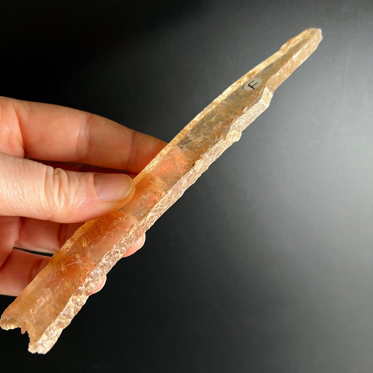 Selenit Kristall transluzent orange-gelb längliche Form in Hand gehalten | Happy Minerals
