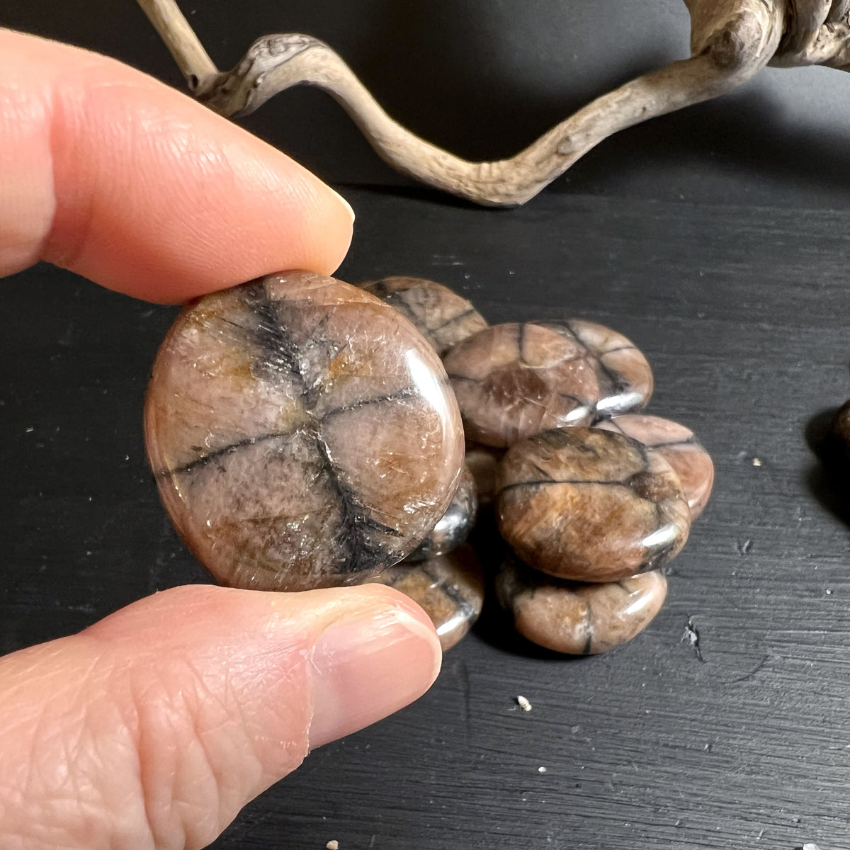Polierter Chiastolith Taschenstein für Reiki und Meditation | Happy Minerals