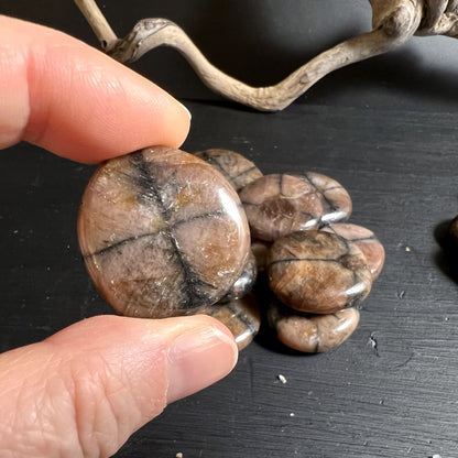 Polierter Chiastolith Taschenstein für Reiki und Meditation | Happy Minerals