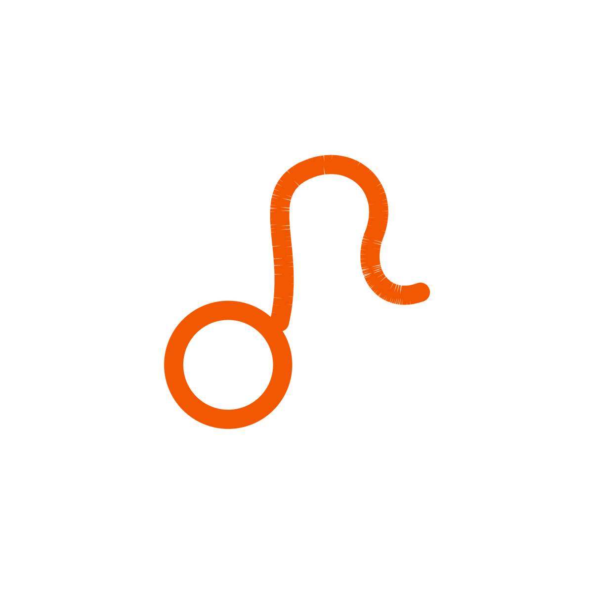 Sternzeichen Löwe Symbol | Happy Minerals