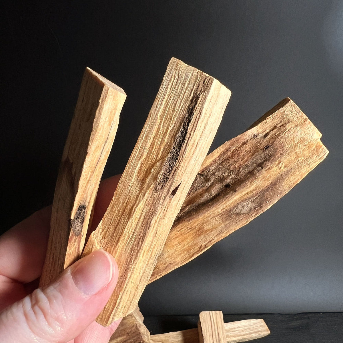 Eine Frauenhand haelt ein grosses Stueck Palo Santo, ca 10x3cm, um die Groesse zu zeigen | Happy Minerals