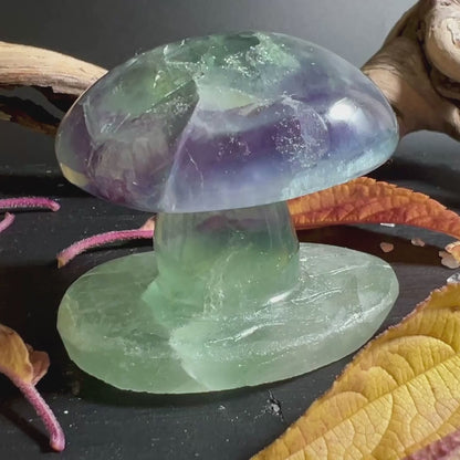 Pilz aus Fluorit Stein | HappyMinerals