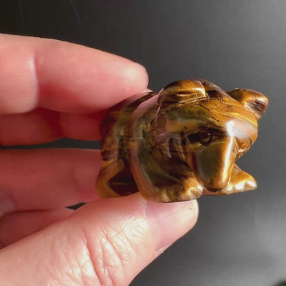 Handgeschnitzter Tigerauge Bär aus Afrika mit feurigem Schimmer | Happy Minerals