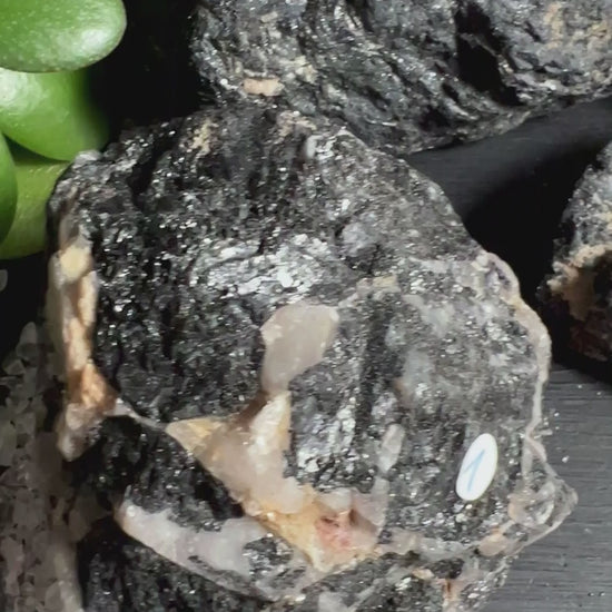 Fünf schwarze Turmalin Rohsteine aus Brasilien mit Quarz auf dunklem Untergrund