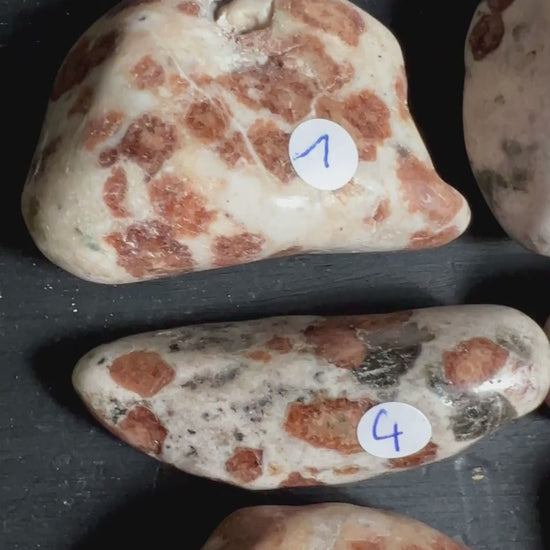 Neun Hessonit Granat Handschmeichler in Wollastonit aus Namibia auf dunklem Untergrund