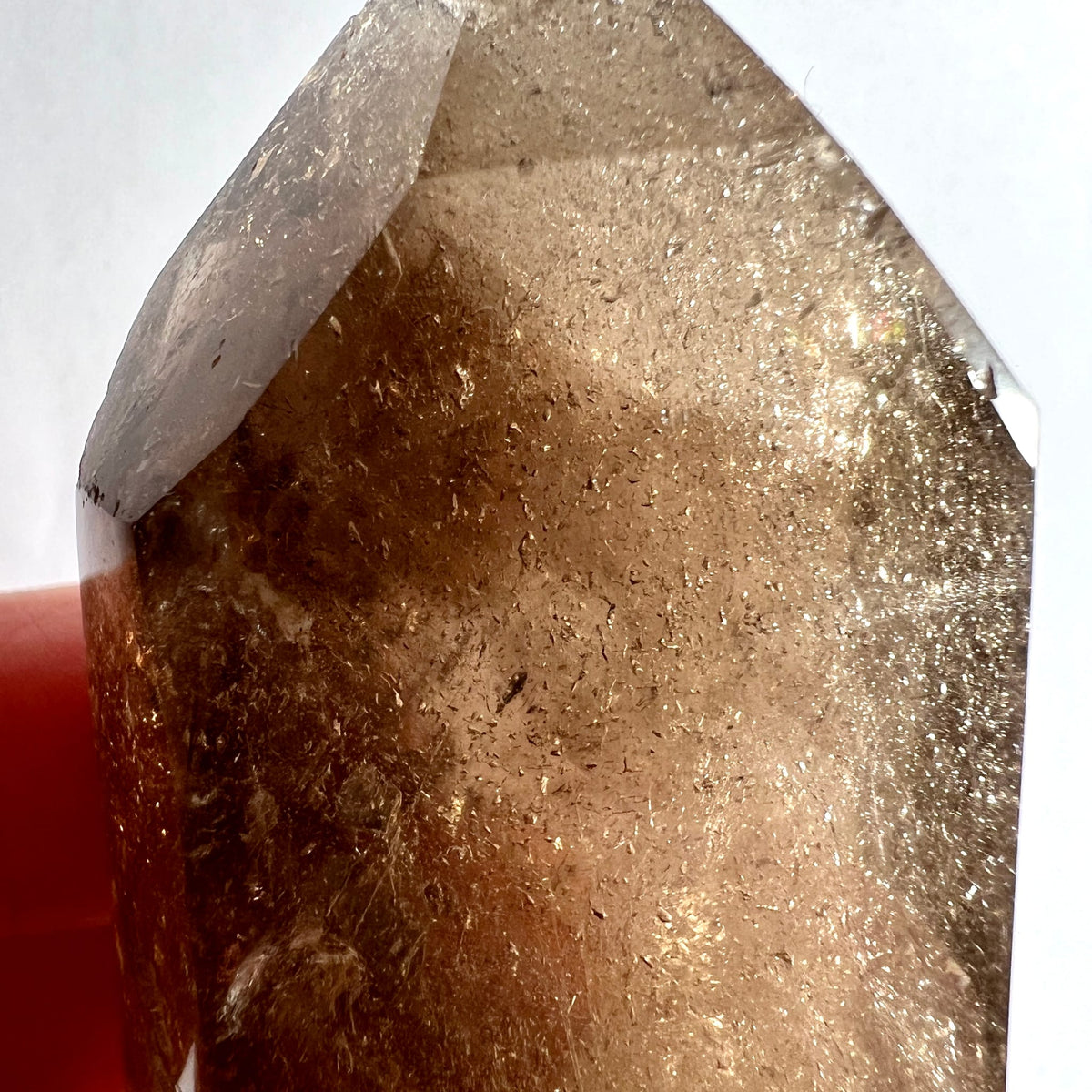 Rauchquarz Spitzenansicht | glänzende Kanten | rauchige Tiefe | Happy Minerals