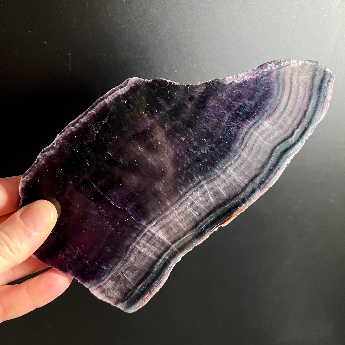 Regenbogenfluorit Platte mit lila-violetten Bandzonen und weiss-gruenen Streifen, rohe Kante, poliert | Happy Minerals