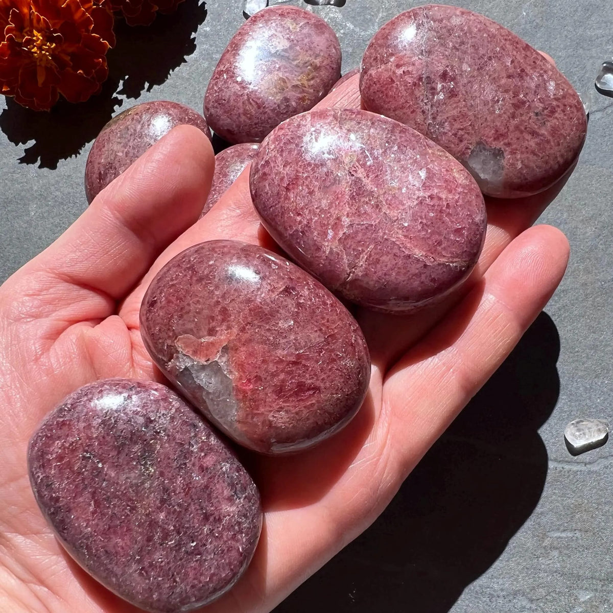 Polierte Rhodonit Handschmeichler in Pink-Rosa mit dunklen Sprenkeln, in einer Hand gehalten | Happy Minerals