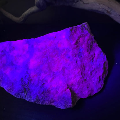 Rubin Kyanit Rohstein leuchtet unter UV: kräftiges Blau-Violett mit pinken Flecken, raue Oberfläche | Happy Minerals