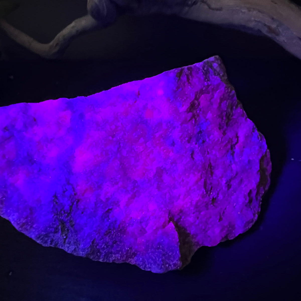 Rubin Kyanit Rohstein leuchtet violett-magenta unter UV-Licht, unregelmäßige flache Form, dunkle Schlieren | Happy Minerals