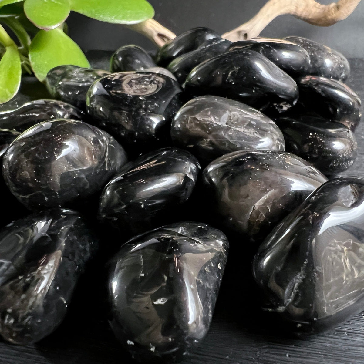 Schwarzer Onyx Trommelsteine | Brasilien | Gruppe | Pflanze Deko | Happy Minerals Auswahl