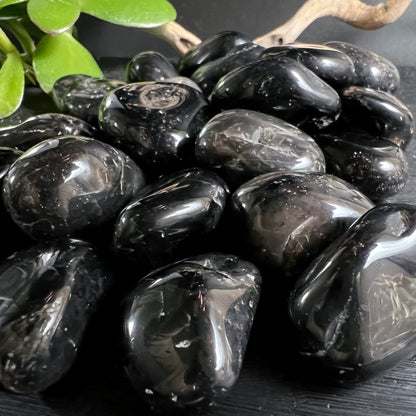 Schwarzer Onyx Trommelsteine | Brasilien | Gruppe | Pflanze Deko | Happy Minerals Auswahl