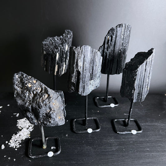 Fuenf rohe schwarze Turmalin Stuecke mit faserig-glaenzender Struktur auf schwarzen Metallstaendern | Happy Minerals