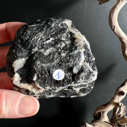 Schwarzer Turmalin Rohstein Nr 1 mit weissen Quarzadern in Hand gehalten