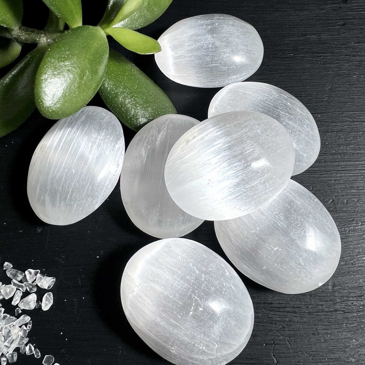 Gruppe weisser Selenit Palm Stones mit zartem Perlmuttglanz aus Marokko | Happy Minerals
