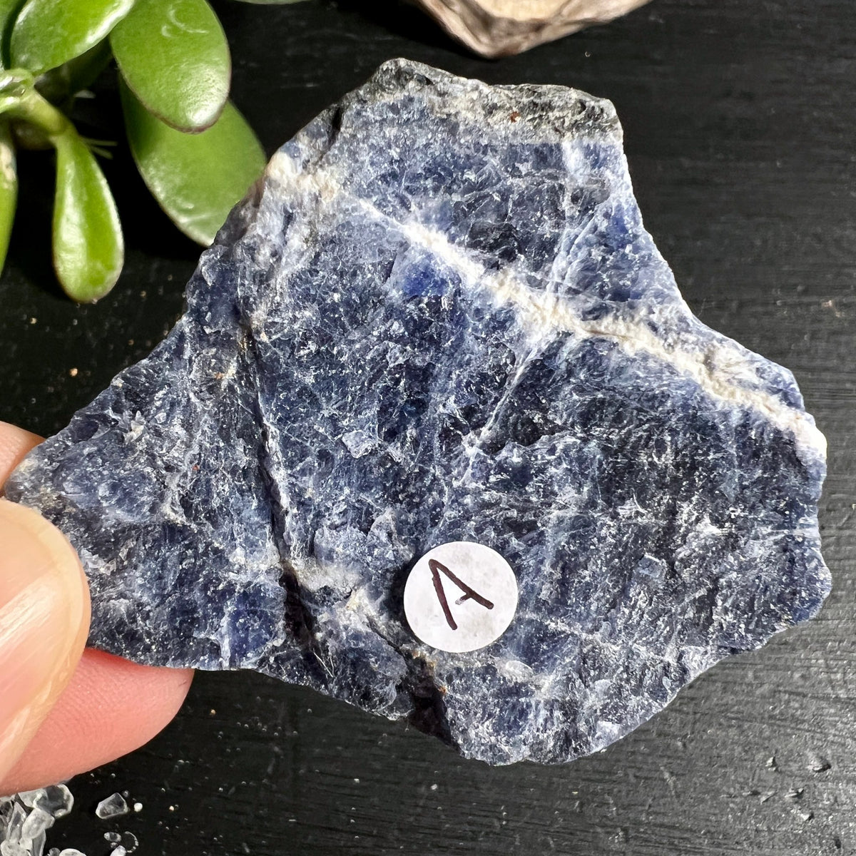 Sodalith Rohstein A Brasilien | intensive blaue Farbe | weisse Calcit Einschlüsse | Happy Minerals