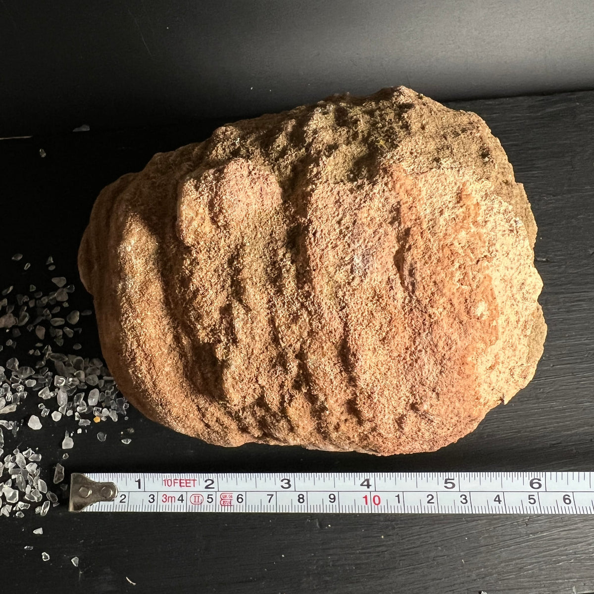 Stromatolith | Marokko | Rohstein | Draufsicht | mit Maßband | natürliche Struktur | Happy Minerals